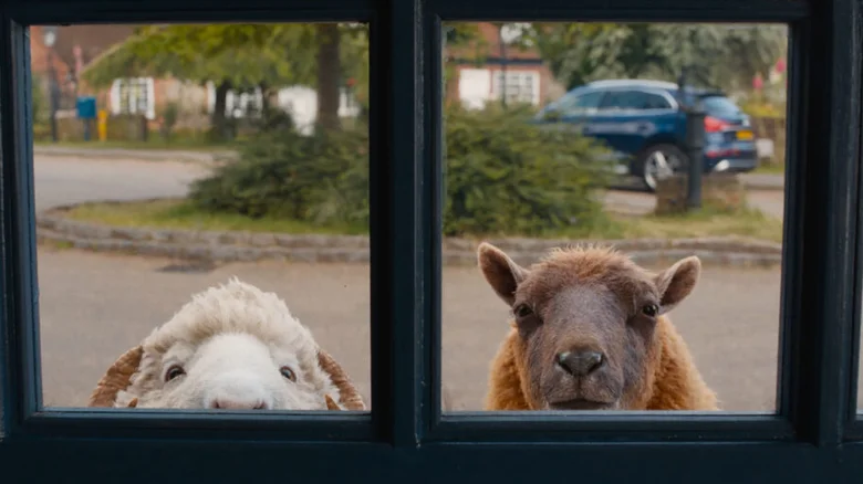 the-sheep-detectives
