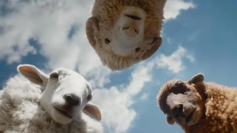 the-sheep-detectives