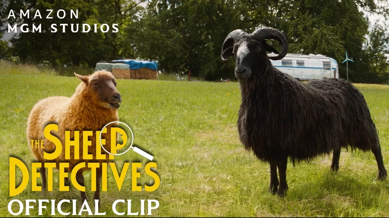 the-sheep-detectives