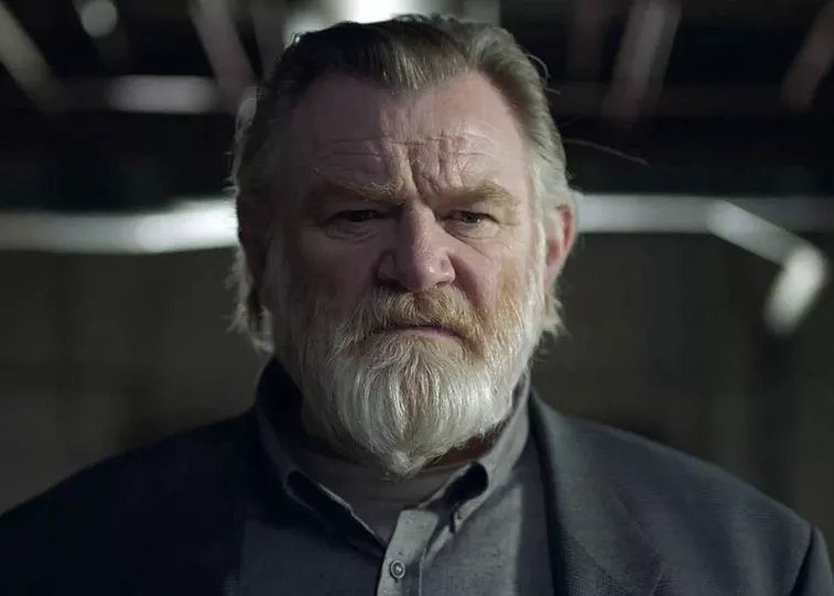 Brendon Gleeson 
