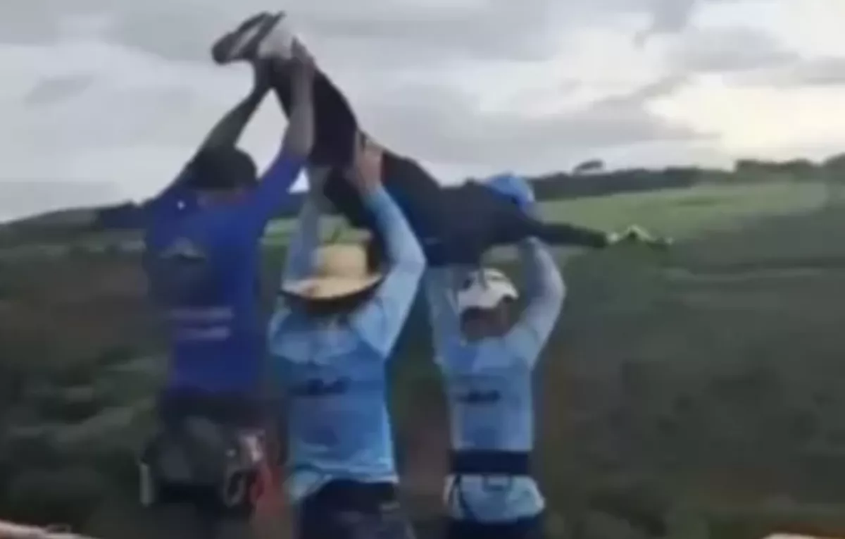 brazil bungee jump