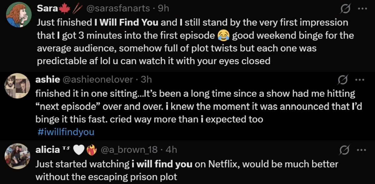 I Will Find You review