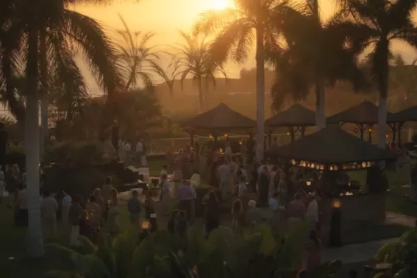 Oasis