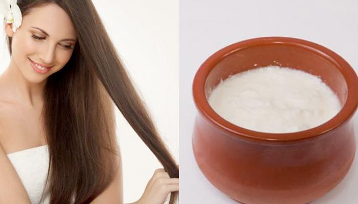 Homemade Yogurt Hair Masks That Accelerate Hair Growth And Repair Damaged  Hair