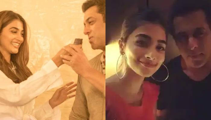 Salman Khan Is In Relationship With His Co-Star, Pooja Hegde, Fans  Hilariously React To The