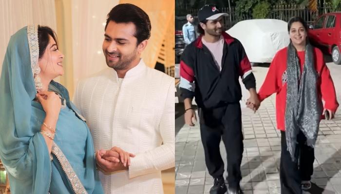 Is Dipika Kakar Pregnant After Four Years Of Marriage With Shoaib Ibrahim? Recent Vlogs Give Hints