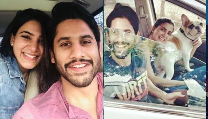 Samantha Ruth Prabhu And Naga Chaitanya Are Not Planning To Reconcile, 'There Is No Chance..'