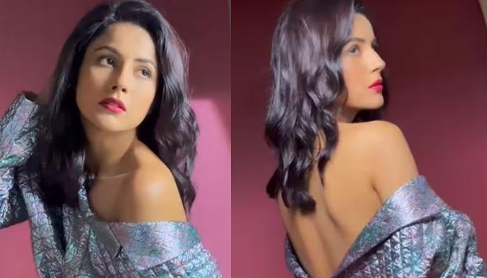 Shehnaaz Gill Looks Sexy As She Raises The Hotness Bar, Flaunts Her Bare Back In A Bold Photoshoot