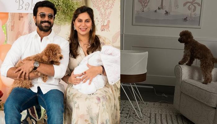 Read more about the article Ram Charan’s Wife, Upasana Shares A Cute Photo Of Their Fur Baby Keeping Eye On His Newborn Sister