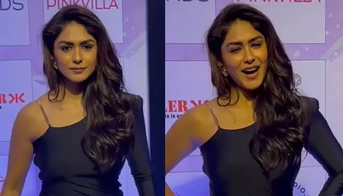 Mrunal Thakur Strongly Denies Paps' Ugly Request To Give A Back Pose In A Sexy Dress, Netizens React