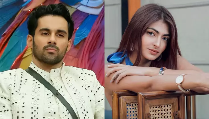 'BB 19', Abhishek Bajaj Calls Ex-Wife, Akansha A 'Social Parasite And Fame Digger', 'Create Chaos..'