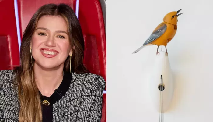 Kelly Clarkson And Brooklyn Store Controversy, All About The Singing Bird And 'Pretty Woman' Dig