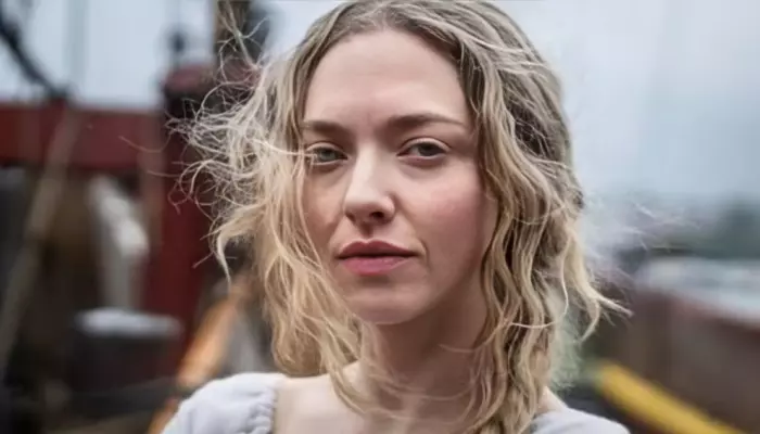 Amanda Seyfried Recalled Filming Nude Scene While Being Pregnant, 'Standing...With Just A Merkin'