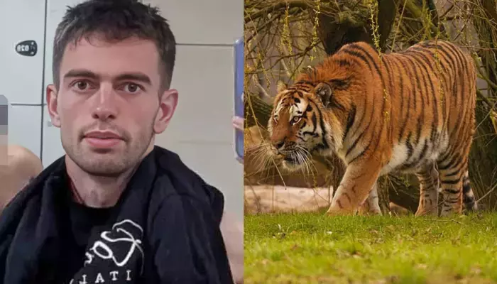 William Chapman, Killed By Tiger In Yorkshire Zoo, Was A Child Actor, His Childhood Pic Surfaces