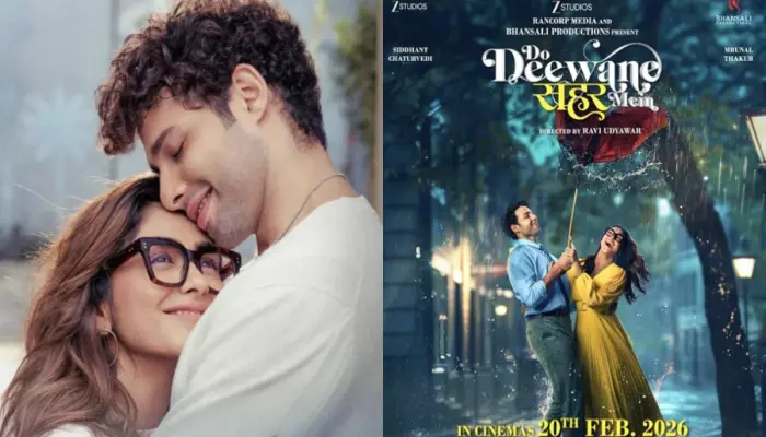 'Do Deewane Seher Mein' Ending Explained, Do Roshni And Shashank Accept Themselves And Get Married?