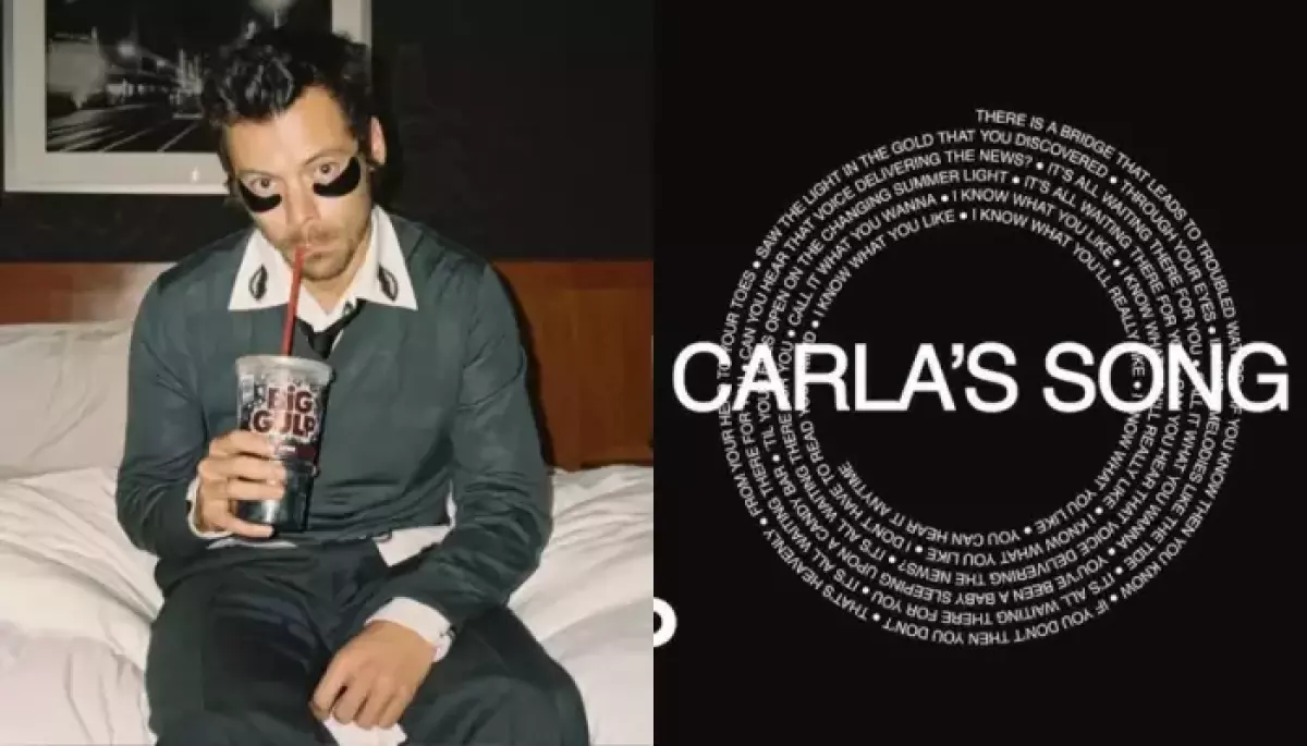Harry Styles' 'Carla's Song' Has A Special Meaning, Meet The Friend Who Inspired The Singer's Track