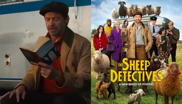 'The Sheep Detectives' Early Review, Hugh's Film Is A Clever Twist On Whodunnit With Heart And Sheep
