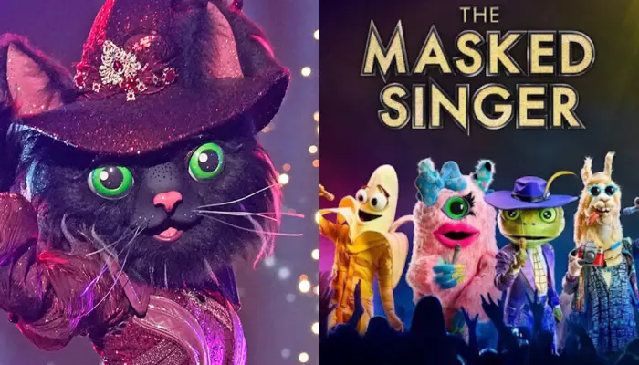 The Masked Singer's Future Uncertain? All About The Show's Return For Season 15 And Release Schedule