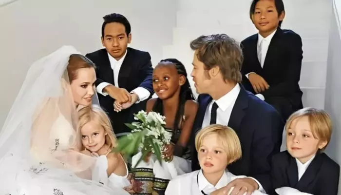 Brad Pitt Loses Custody Of Twins Knox And Vivienne, What The Kids Have Said About The Estrangement