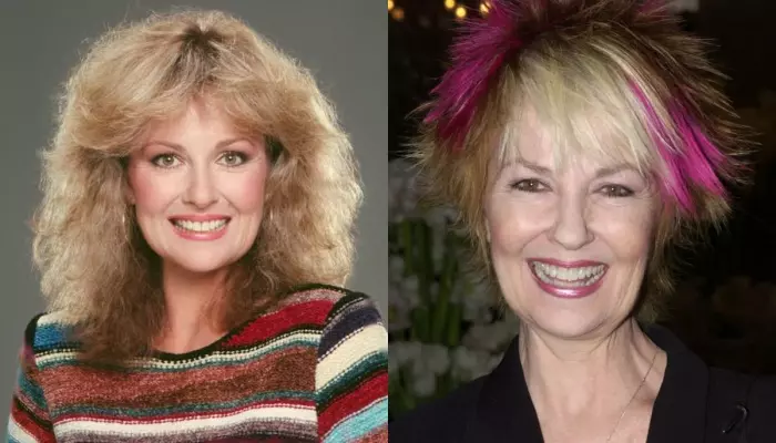 Shelley Fabares' Cause Of Death Revealed After Being Diagnosed With Autoimmune Hepatitis
