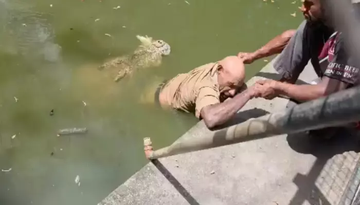 Crocodile Caretaker Dies After Being Attacked, Harrowing Video Surfaces, 'He Couldn't Scream..'